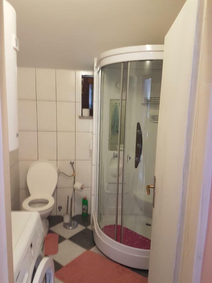 Apartman Vil Apartment Sveti Vid-Miholjice Exterior photo